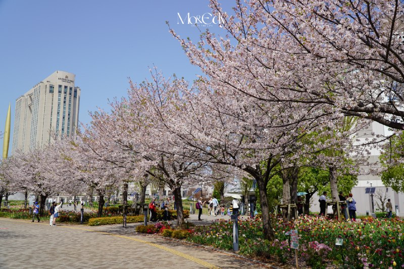 好久不見，東京