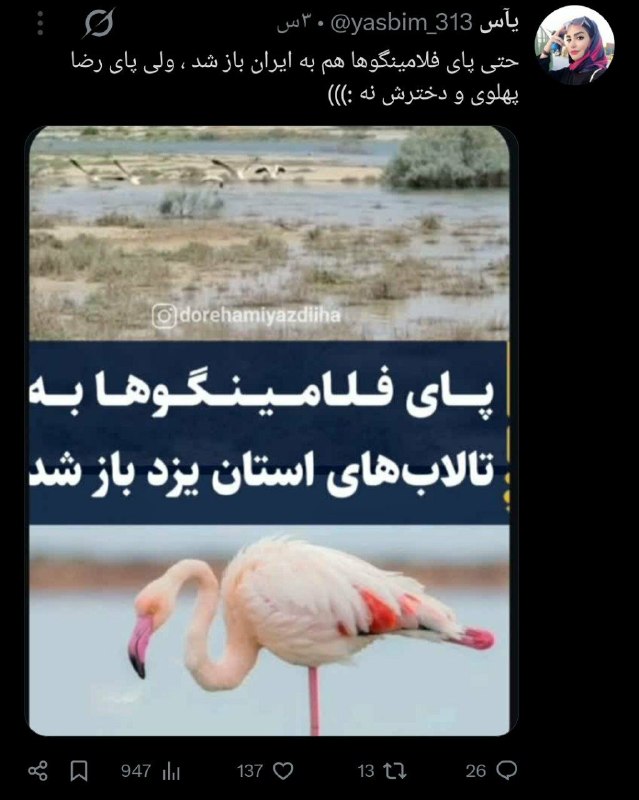 فروپاشی froopashi: 🟢پای خر پیر پدربزرگم به 405 باز شد ولی نائب ولیعصر مسلمین، نه. روم سیاه البته.❌خرزشی های ...مغز که یونجه رو بدون ساندیس