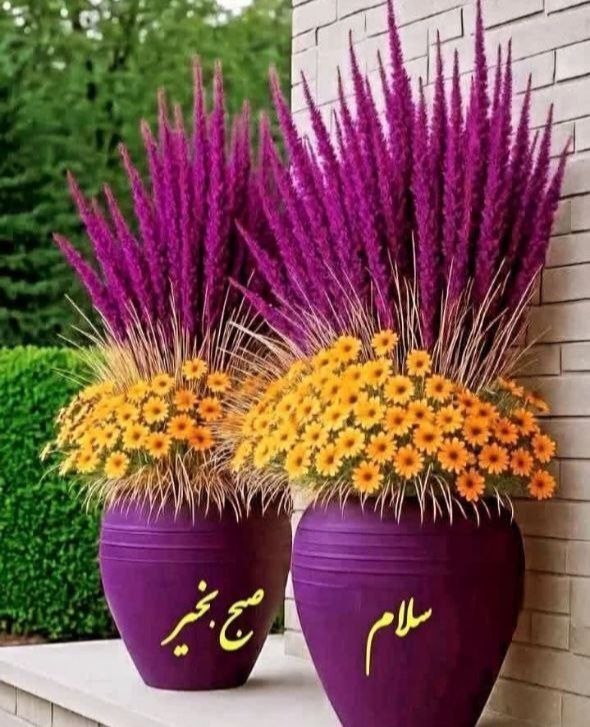 💋😘دوبیتی عاشقانه 😘💋: ✨✨✨قشنگ ترین عشقنگاه خداوند بر بندگان است😍هر کجا هستید بهنگاه پر مهر خدا میسپارمتونالهی مهـر؛ بركت؛ عشـقمحبت و سلامتى ش
