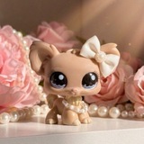 Flowers lps