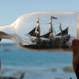 𝐃𝐚𝐫𝐫𝐲𝐥 🏴‍☠️ [100% PIRATE]