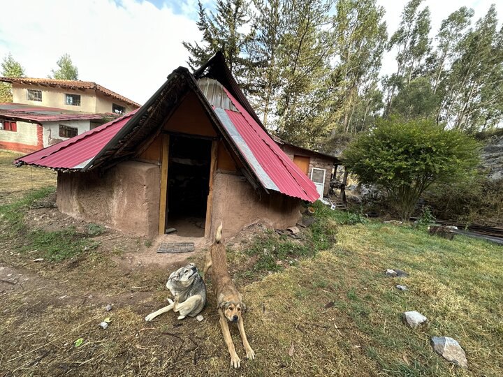 秘魯-「死藤水」Ayahuasca: Don’t forget to breathe