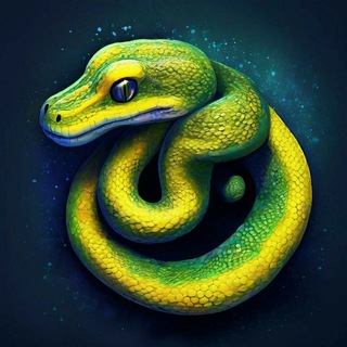 Базовый курс Python Telegram Group Link