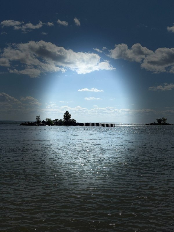 Перлы: 🌊