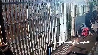 מתנחלים עורכים סיורים פרובוקטיביים ברחבי בתי אזרחים בכפר דומא מדרום לשכם.