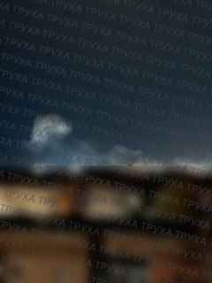 t.me