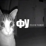 Жизнь клана BUM..