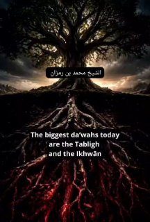 Do you know why Salafis warn against Jama'ah Tableegh? | Sheikh Ramzan Al-Hajiri