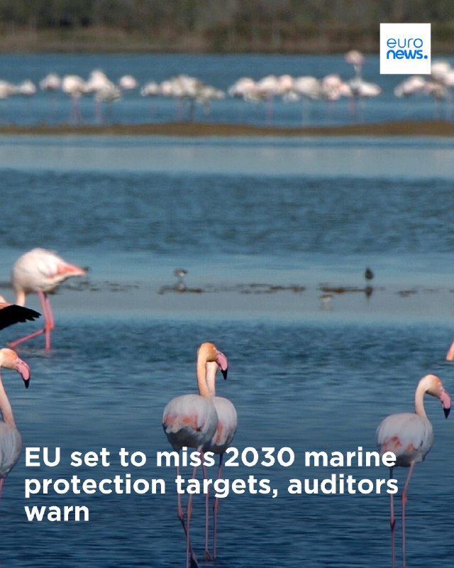למרות הגדרת 14% ממימיו כאזורים מוגנים, האיחוד האירופי הציב פחות מ-1% תחת הגנה קפדנית, מה שמותיר מערכות אקול…