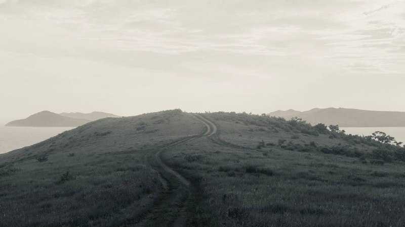 Дикий крайДикий край