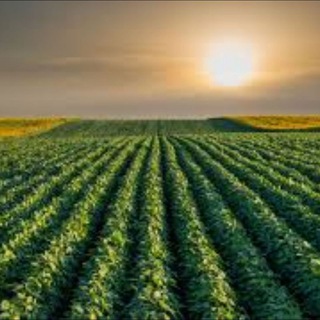 Ruralidades Telegram Group Link