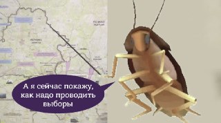 «Народная партия тараканов» в Индии набрала уже более 18 млн подписчиков в инсте, обогнав по популярности правящую партиюДвижение появилось после того, как глава Верховного суда сравнил безработную молодежь с тараканами, которые "сидят в интернете и напада