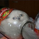 листовые бредни