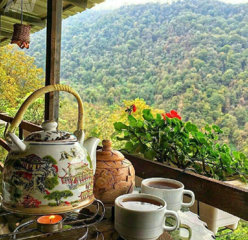 ❤️ڪافـه شـ؏ـر مجنـون❤️: محبوبم!شما طعم چای چین اول دشت هایلاهیجانید،یک قندان قند که حبه حبه کامم راشیرین می کند...#محمد_صالح_علاء♥️☕️ @caafee