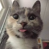 зависима от кофе