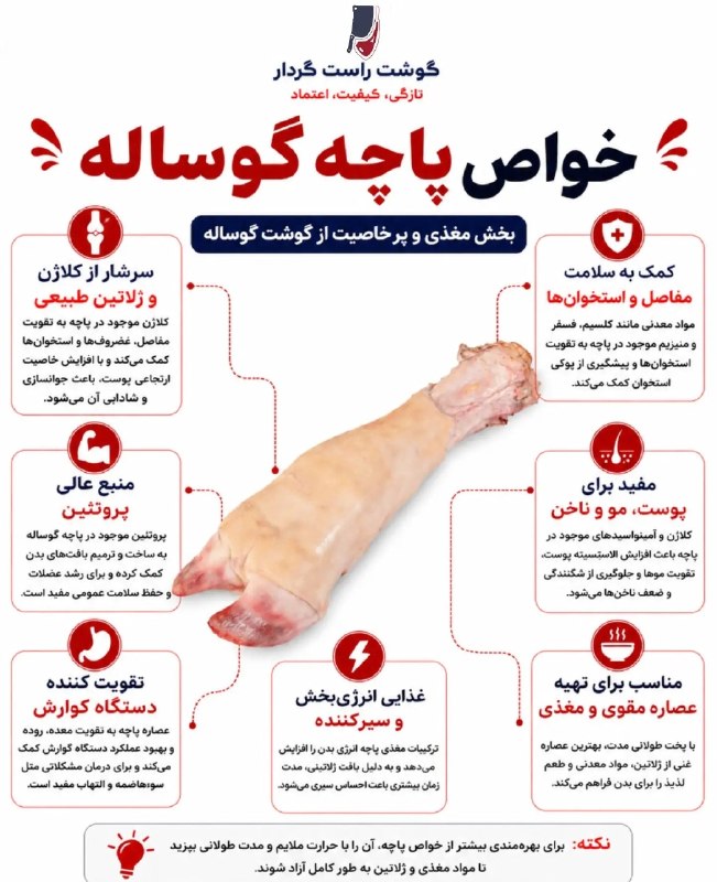 دنیای دارو: ☑️پاچه گوساله؛ یک غذای کامل، نه فقط یک افزودنی!اگر اهل غذاهای اصیل ایرانی باشید، حتماً می‌دانید که پاچه گوساله به‌تنهایی