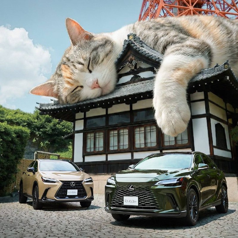 Lexus выпустил рекламу, в которой весь мир, кроме котов, внезапно стал МИНИАТЮРН