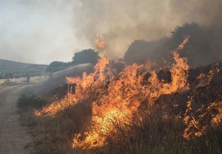 🔸 האש התפשטה במרחב מוגן Bemo; 25 צוותי כיבוי מעורבים בכיבוי השריפה
