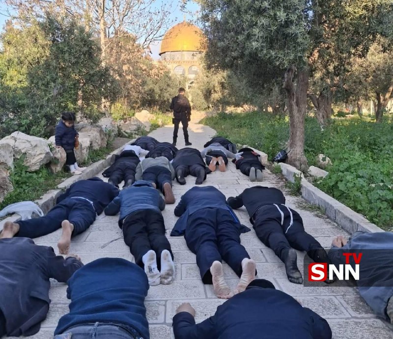 SNN.ir|خبرگزاری دانشجو: 📸 تعرض شهرکنشینان صهیونیستی به ساحت مسجد الاقصی🔸تصاویری از اقدامات توهینآمیز شهرکنشینان صهیونیست در جریان یورش به مصل