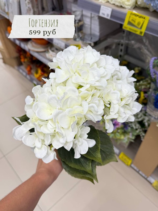 Пока дочка была на тренировке, заглянула в Kari. Делюсь интересными находками - изображение 1 - пока, дочка, была