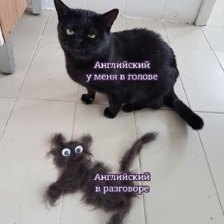 Боишься завалить собеседование или экзамен на английском? Или хочешь подтянуть язык с молодыми невыгоревшими преподами и без лишней зубрежки?Начни с бесплатного пробного урока: https://lentach.media/justdoit