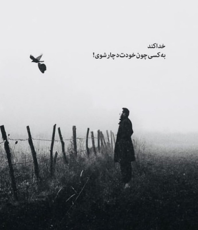 "دراموفین: 💜 💜