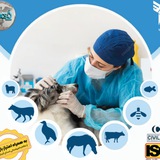 دبیرخانه همایش ملی نوآوری در علوم زیستی و بالینی دامپزشکی