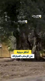 المسجد الأقصى يبث أذكاراً وتواشيح دينية