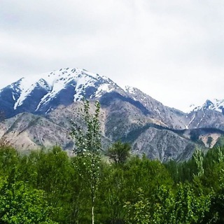 ОСМОН ТАЛАШ