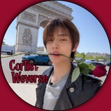 CORTIS WEVERSE ⑇