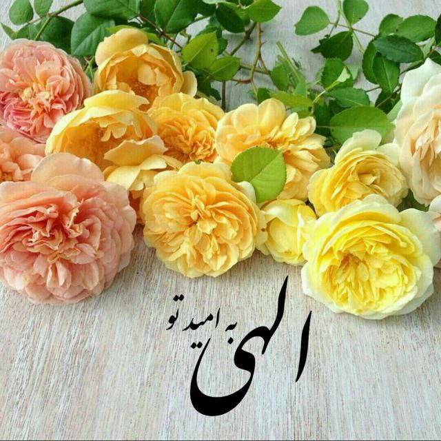 🔁 از حال بد به حال خوب 🔁: 🌼🌺🍃🌸#خدایا🙏🌺با نام تو آغاز می کنم🌸شروع هر لحظه را🌺ای که زیباترین 🌸علت هر آغاز تویی !🌺این روز و یکشنبه را به🌸لطف و مهربان