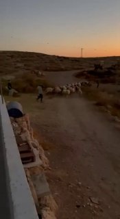 مستوطنون يقتحمون خربة الخرابة شرق السموع