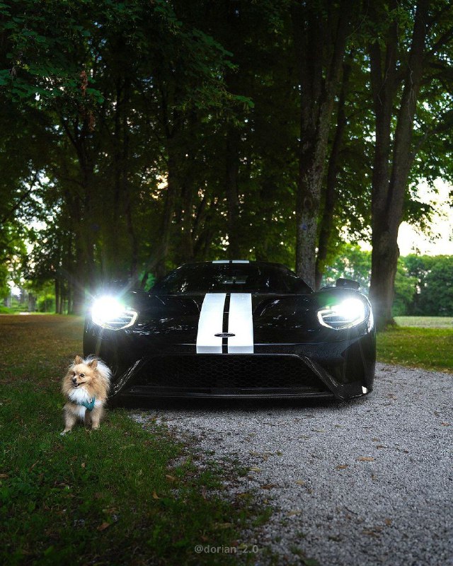 Ford GT