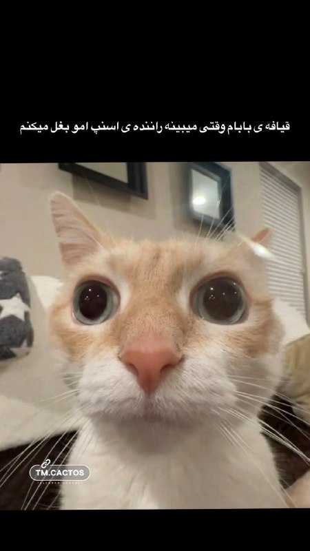 🔥YoüTüBe 💯: هرچی باهاش میسازن عالیه بخدا🤣🤣🤣🤣هرچی باهاش میسازن عالیه بخدا🤣🤣🤣🤣