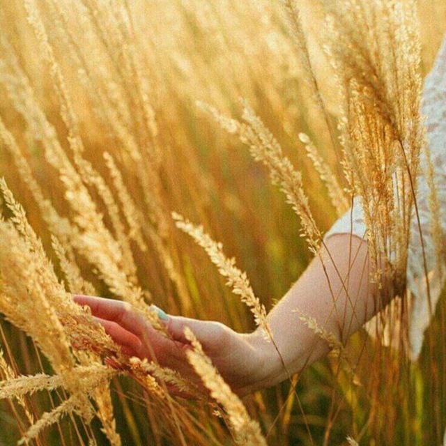 فال قهوه و آیینه بینی ارمنی: #ارتعاش_بالا‌برای بالا رفتن سطح ارتعاشتان به صورتمثبت در طول روز به مواردی که می خواهید توجه مثبت کنید داشته هایتان را ب