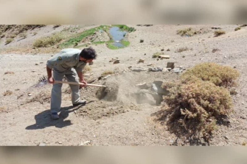 پیام ما آنلاین: 🔷عملیات پیشگیرانه محیطزیست بوئین و میاندشت🔶تخریب مخفیگاههای شکارچیان در منطقه ستبله🔷یگان حفاظت محیط زیست بوئین و میاند