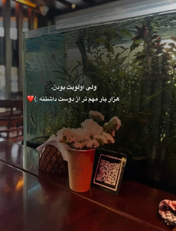 👑 شهر عکس 👑: 💜 @shahreeaks 💜