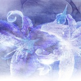 𝓗𝓲𝓷𝓪-𝓬𝓱𝓪𝓷!!