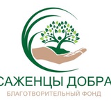 Благотворительный фонд САЖЕНЦЫ ДОБРА