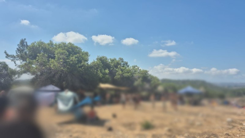 אור רביד
