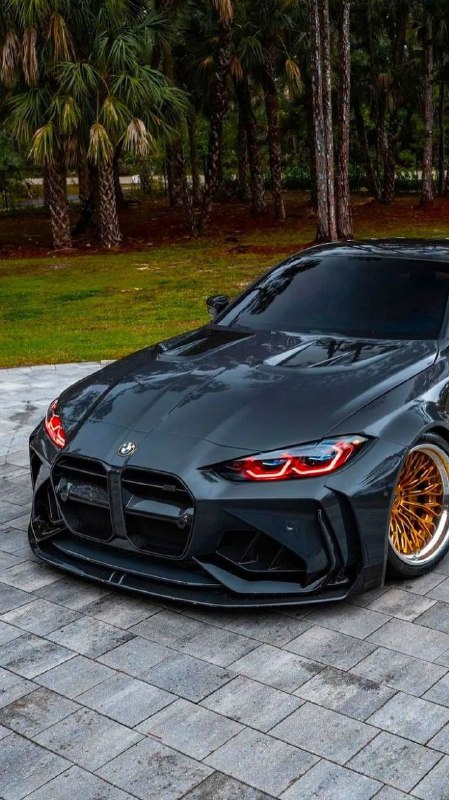https://t.me/bmw_mpower_club