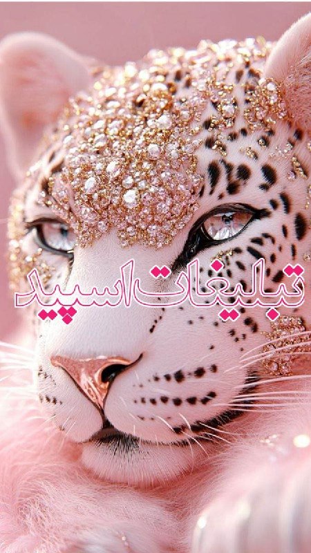 لینکدونی گروه چت بیرجند: ❶﹚ نام : Cute land❷﹚ نو؏ تبلیغات : #telegram❸﹚ توضیحات :♥️گپمون آس🤪✌💎مدیرمون خاص😍✌️💎ممبرامـون باکلـاس😉✌️💎ویسکالمون 24ساع
