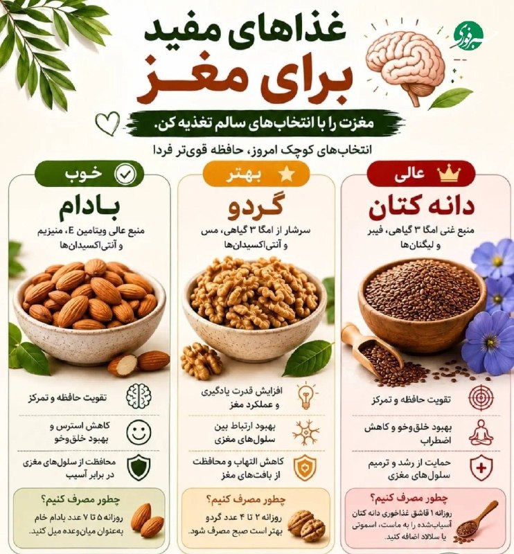 صدای خراسان: 🔸غذاهای مفید برای مغز@SedayeKhorasaniha