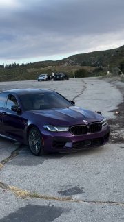 https://t.me/bmw_mpower_club