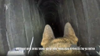 🔴 תמונות שצולמו ממצלמה של כלבי חיפוש ישראלים בשבי בעזה