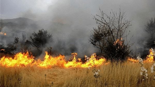 اخبار همدان: دوربینهای نظارتی آتشسوزی در مراتع همدان را ۵۰درصد کاهش داد🔹مدیرکل منابع طبیعی و آبخیزداری استان همدان: بیش از ۵۰درصد ح
