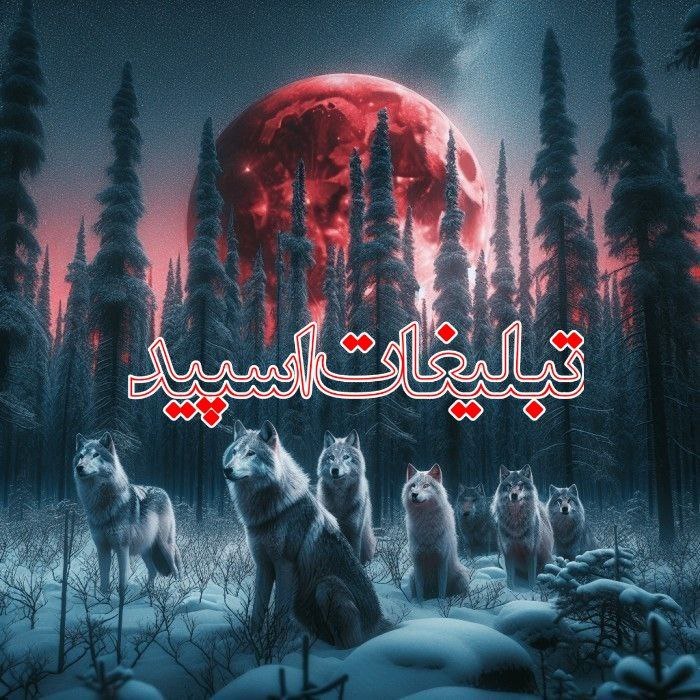 گروه دوستیابی دخترونه شهرکرد: ❶﹚ نام : ⎯꯭᪵̽𝆺꯭𝅥𝐖𝐈𝐋𝐃𓆩᪵🜲꯭𓆪̥𝐖𝐎𝐋𝐅⎯꯭꥓᪵ͯ⟶❷﹚ نو؏ تبلیغات : #telegram❸﹚ توضیحات :𝑊𝐸𝐿𝐶𝑂𝑀𝐸 𝑇𝑂┈┈∘┈˃‌༒˂‌┈∘┈┈#𝑨𝑩𝑹𝑮𝑷 𝐖𝐈𝐋𝐄𝐃𝐖𝐎𝐋𝐅 sɨռᴄɛ" 