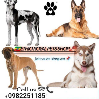 🐾Ethio Royal pets shop🦮🐕‍🦺🐦🦜🐠