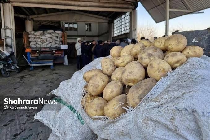 شهرآرانیوز: 🔶صادرات سیب‌زمینی تا پایان سال ممنوع ماند👤معاونت توسعه بازرگانی وزارت جهاد کشاورزی:🔹صادرات سیب‌زمینی تا پایان سال همچنان