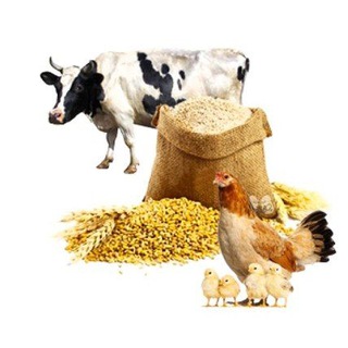 🐤🐔🐂فعالین صنعت دام، طیور و آبزیان🐓🐑🐠